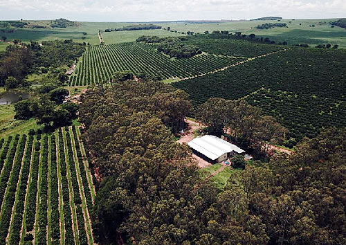 Farm Fruit Fazenda - Foto 4